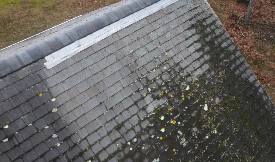 algae resistant shingles roof