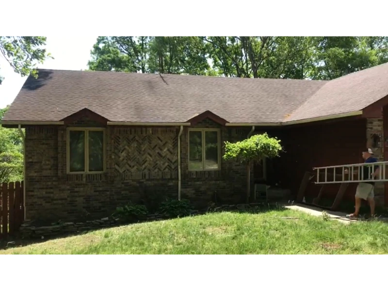 affected roof by tree shade