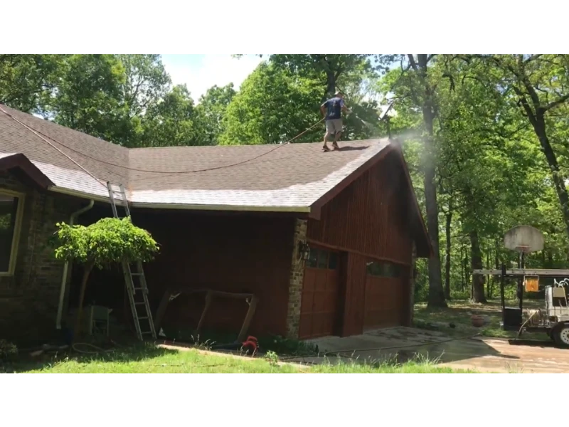 a roof covered with trees