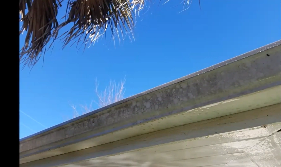 clean gutters