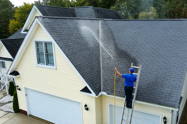Professional soft wash roof cleaning service in Lafayette removing black streaks and algae from asphalt shingles safely
