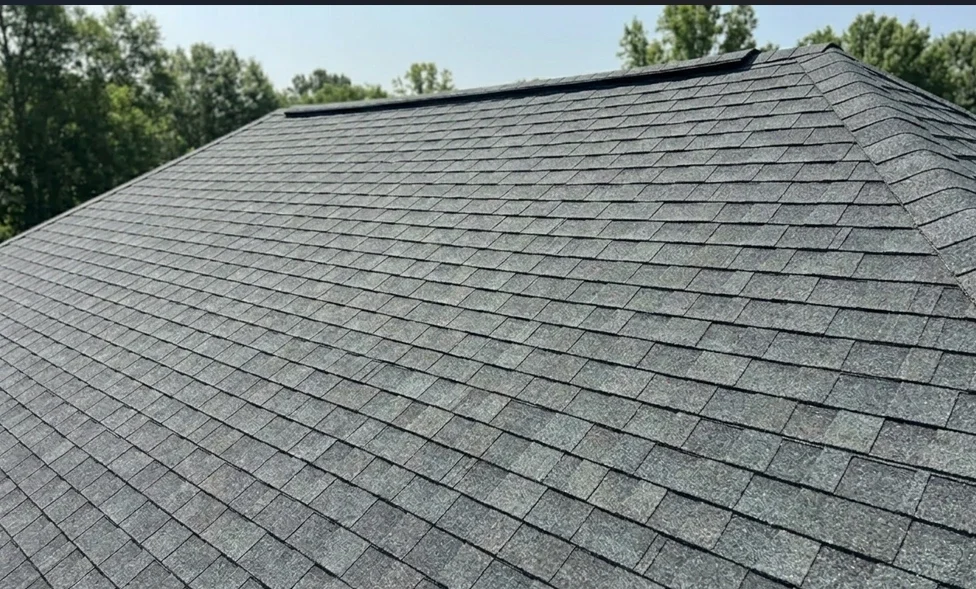 Clean residential architectural shingle roof in Lafayette after a professional soft wash cleaning service performed.