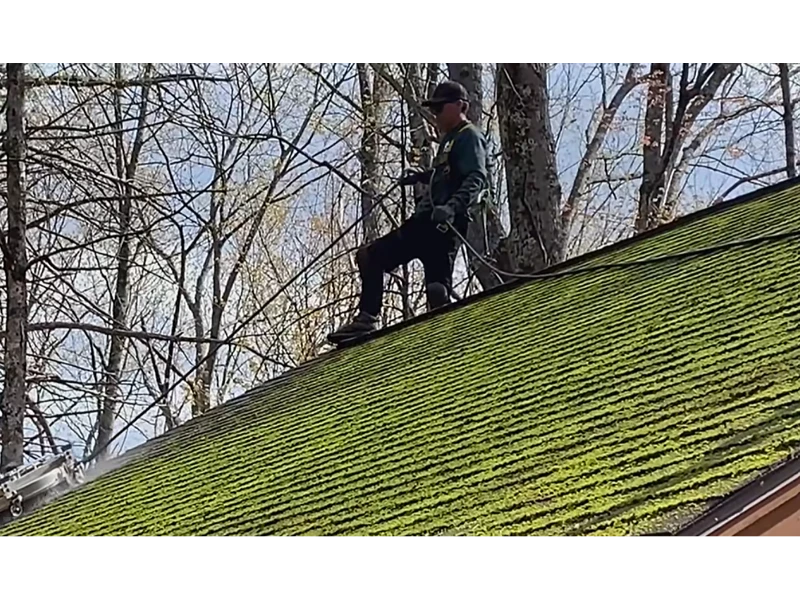 Tree cutting and trimming